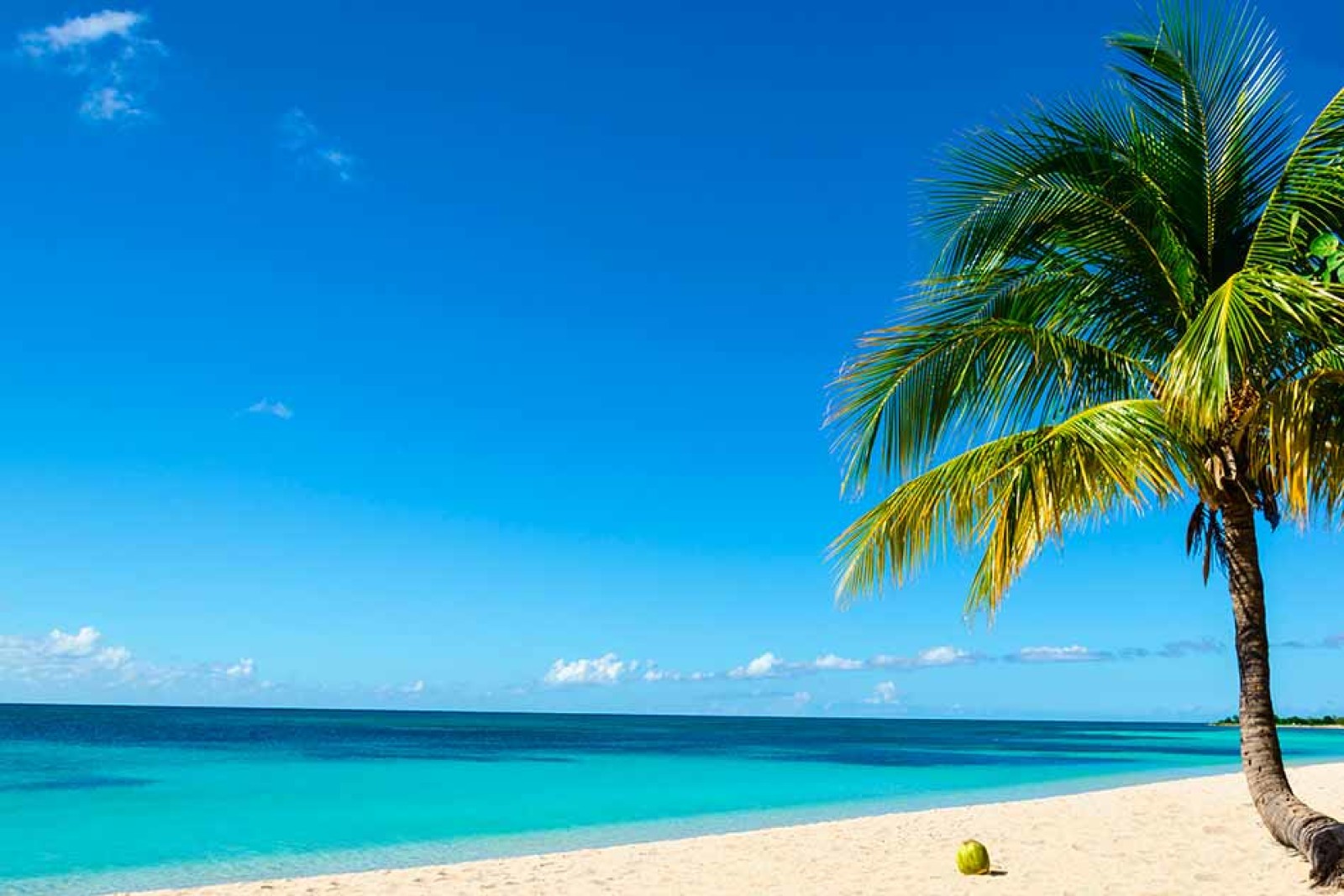 Estar en el caribe…